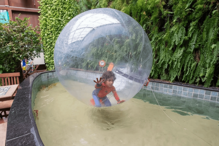 Generated Image March 02, 2026 - 4_41PM